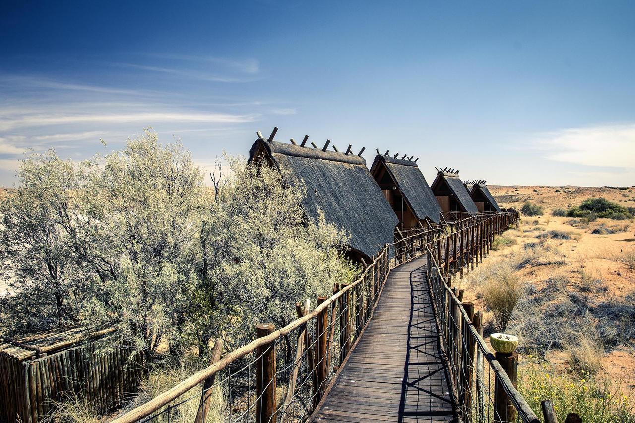 Xaus Lodge Twee Rivieren Zewnętrze zdjęcie